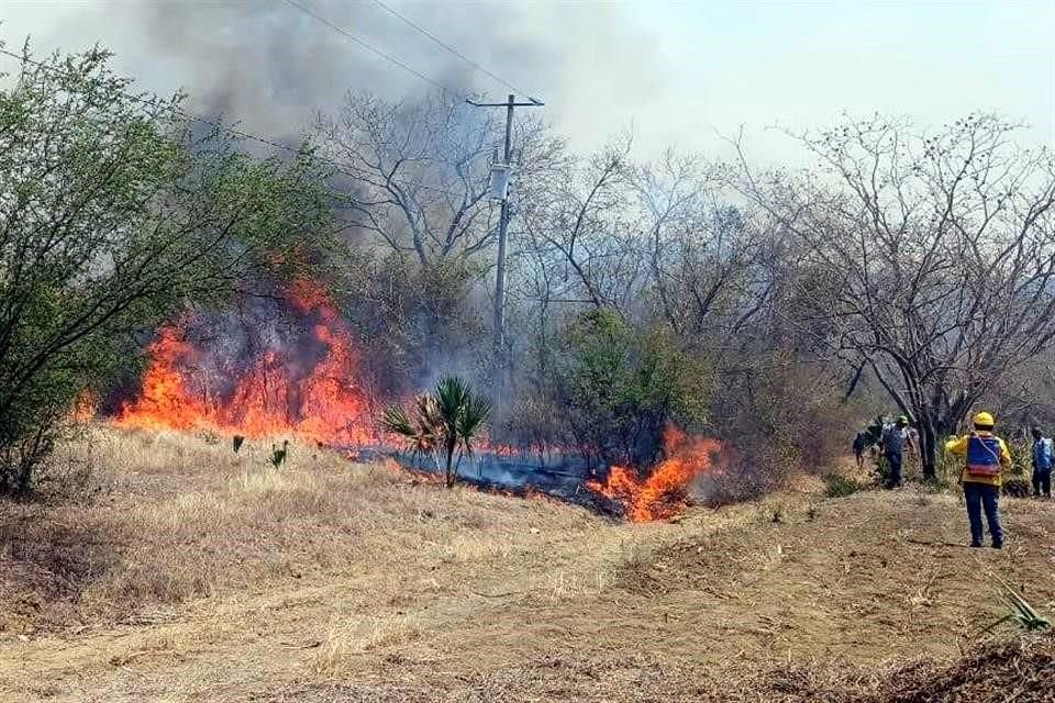 Los incendios se registran en al menos 11 municipios tamaulipecos.