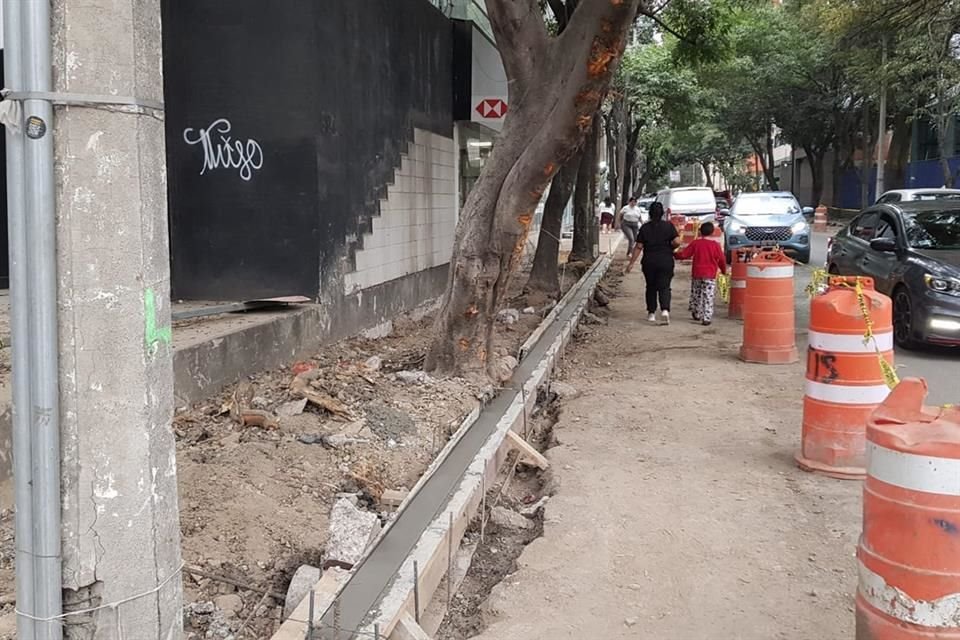 Las obras debieron concluir en febrero, sin embargo, apenas tienen un avance del 30 por ciento. 
