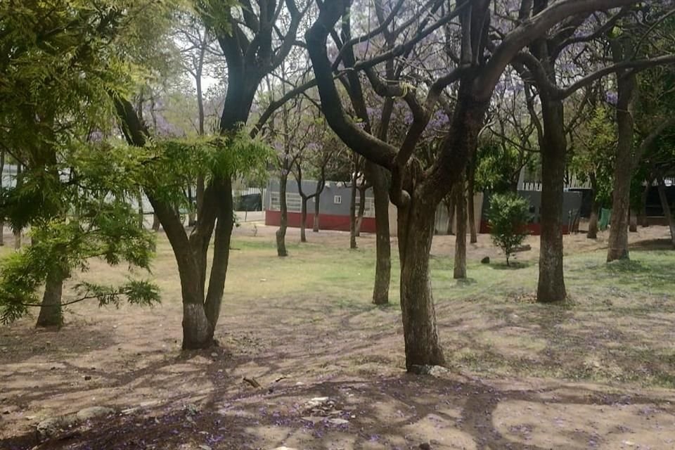 Vecinos de la Colonia Las Águilas rechazan la construcción de una Utopía en el Parque Japón.