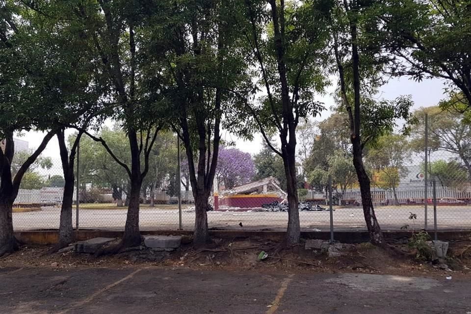 Vecinos acusan que más de 100 árboles han sido marcados para un futuro retiro.