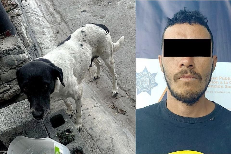 Jorge , de 36 años, ya había sido videograbado por vecinos de la Colonia Arboledas de la Silla realizando estos mismos actos de maltrato a un perro.