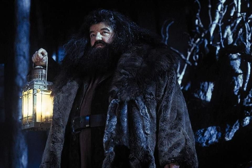En las ocho películas de Warner Bros., Hagrid, uno de los personajes más queridos de los seguidores de la saga, fue interpretado por el difunto Robbie Coltrane.