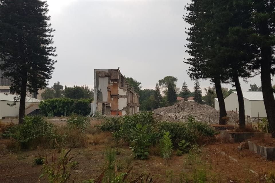 Dentro del predio hay evidencia de descuido al arbolado y de los trabajos de demolición.