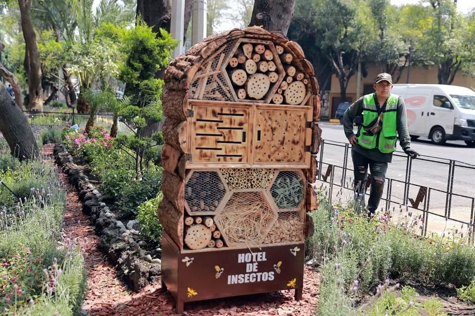 La Secretaría de Medio Ambiente (Sedema) colocó dos hoteles como refugio para insectos polinizadores en jardineras dentro de las banquetas de la avenida México-Coyoacán.