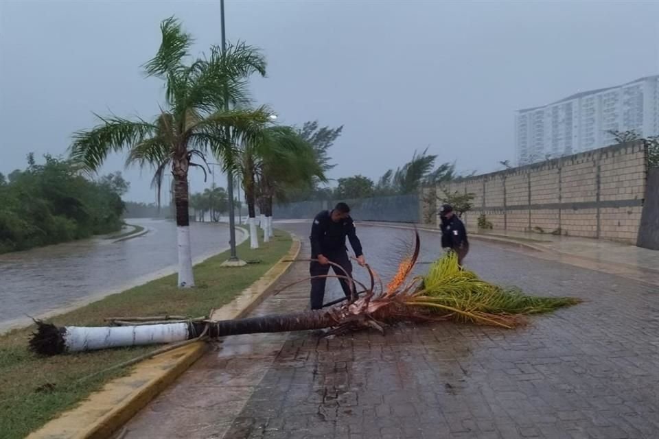 Se prevén lluvias en QR, Yucatán y Campeche.