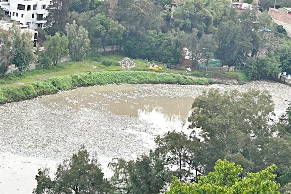 El Municipio ha aplicado 28 toneladas de cal en el embarque, sin que el hedor se reduzca.