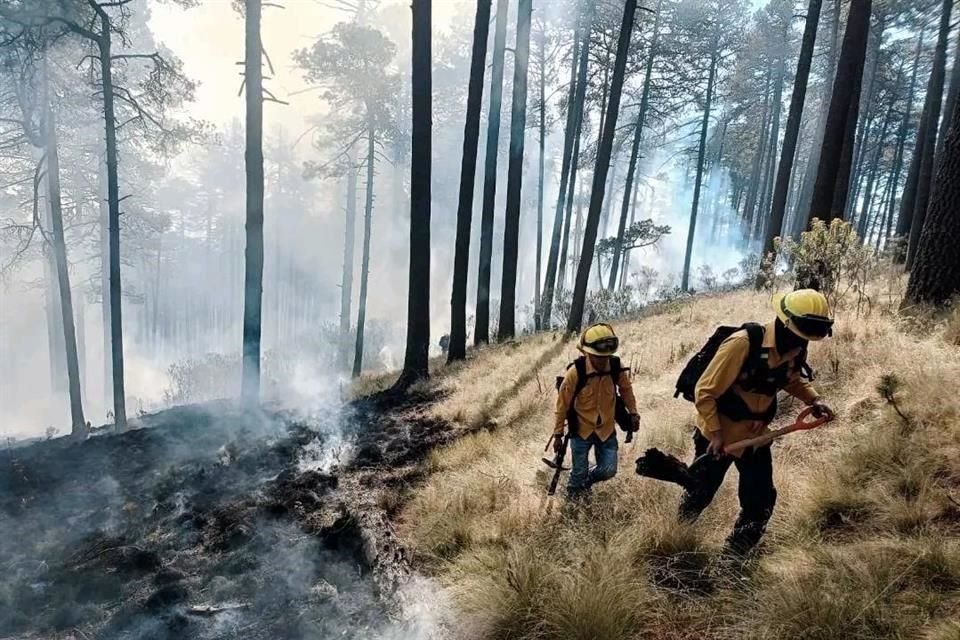 El incendio comenzó ayer en el ejido Zaragoza, en el municipio de Calimaya.