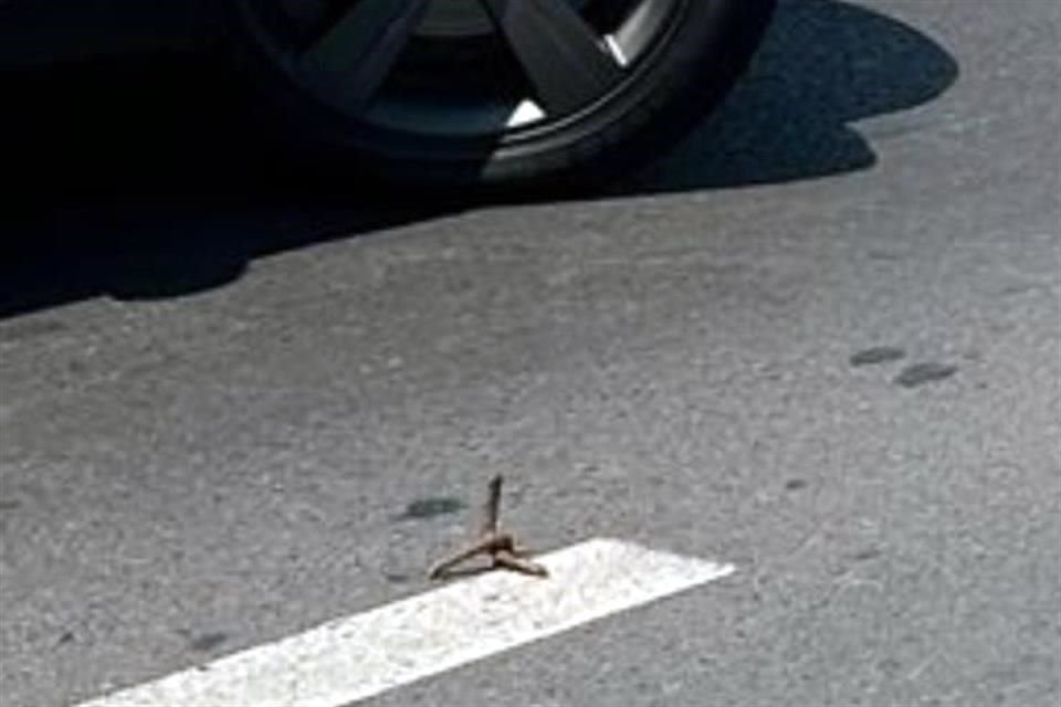 El hecho se registró poco antes de las 11:00 horas en la Carretera Nacional, a la altura de la Plaza Comercial Esfera.