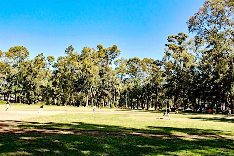 Usuarios del Deportivo Xochimilco alertaron por la construcción de una Utopía.