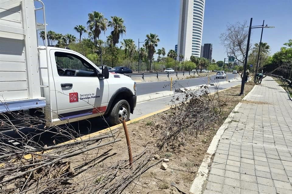 La falta de riego provocó que árboles y plantas de los corredores verdes murieran.