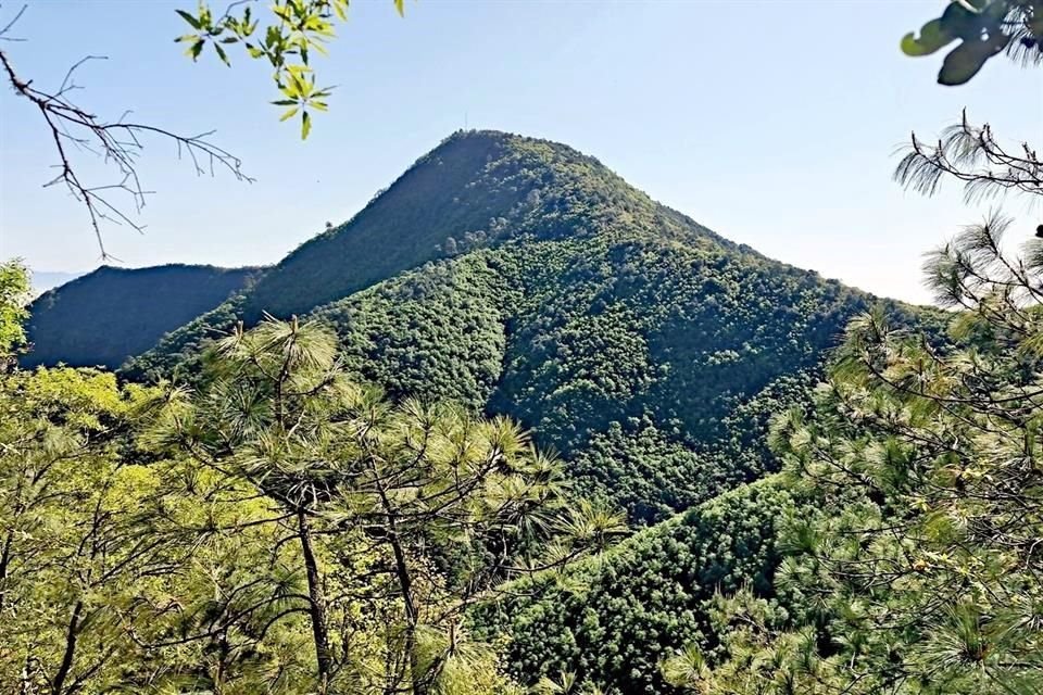 El Parque Ecológico Chipinque luce totalmente recuperado tras el incendio forestal más grande en esa reserva, registrado hace 27 años.