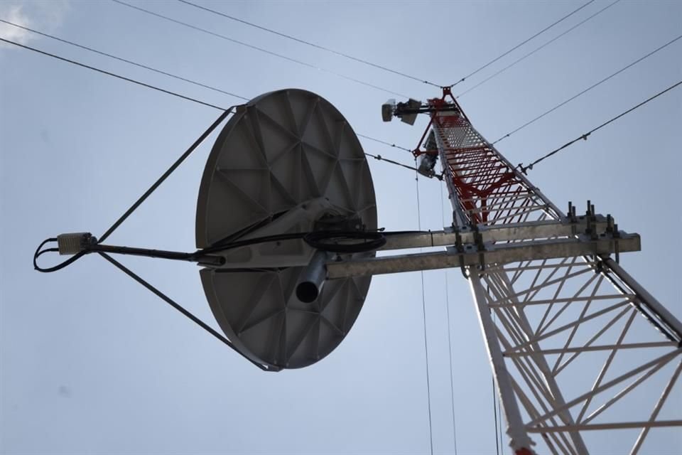 Adriana Labardini, ex comisionada del Ifetel, alertó por el riesgo de que narco adquiera concesiones del espectro de telecomunicaciones.