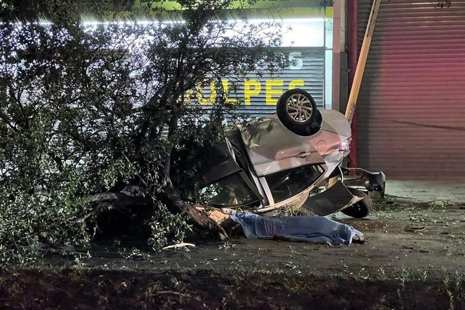 El automóvil se estrelló contra un árbol que derribó y luego volcó con las llantas para arriba.
