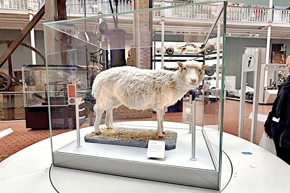 National Museum of Scotland.