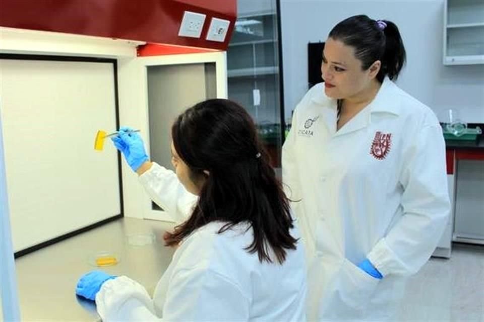 La Dirección General de Profesiones, dirigida por Omar Sánchez, detalló que con la simplificación de trámites se reducirán los tiempos de expedición de cédulas y títulos profesionales al pasar de seis meses a 15 días, en promedio.