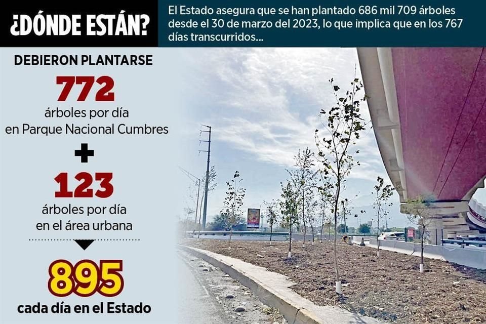 El Secretario de Medio Ambiente estatal revela que otra asociación también participa en programa de reforestación, pero tampoco rinde cuentas.