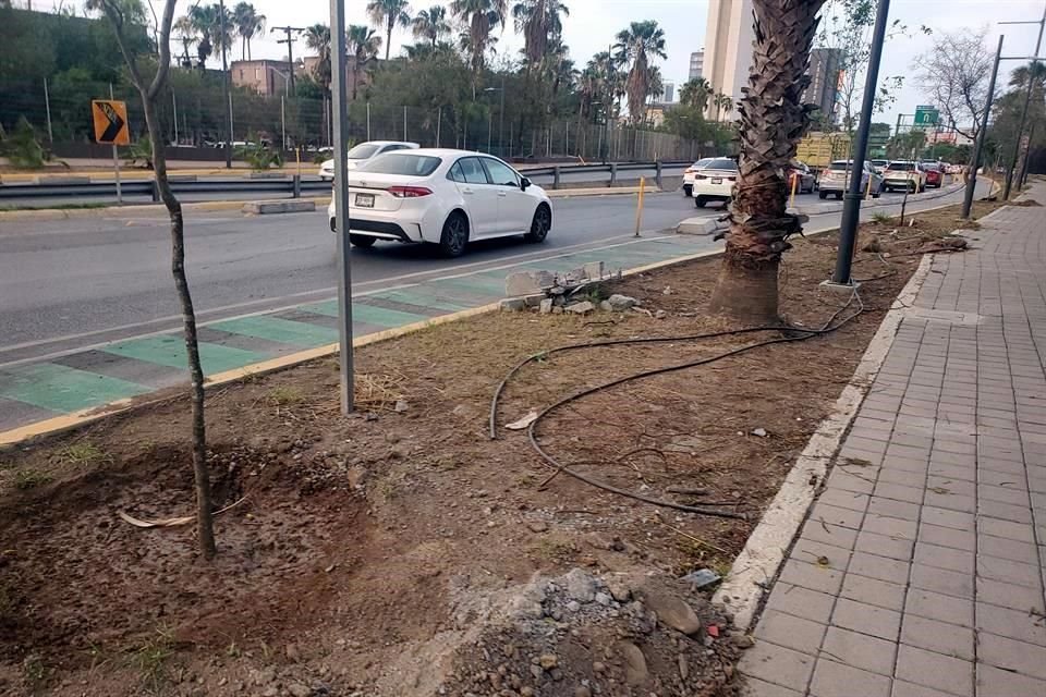  La asociación Reforestación Extrema colaboró con el municipio para retirar los árboles muertos del corredor Aramberri.