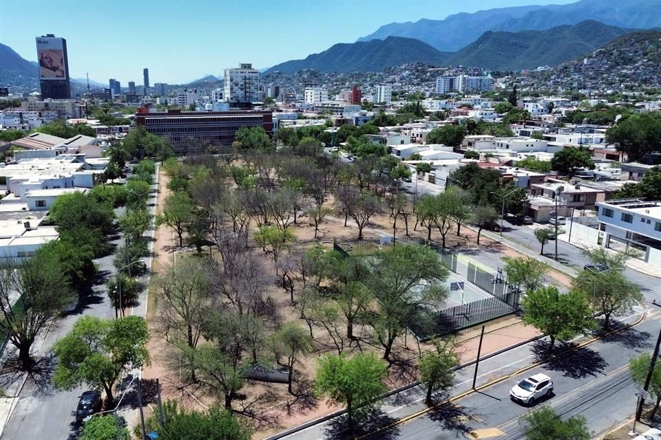 Decenas de árboles de la sección conocida como Parque Ecológico Roma, se encuentran secos o enfermos.
