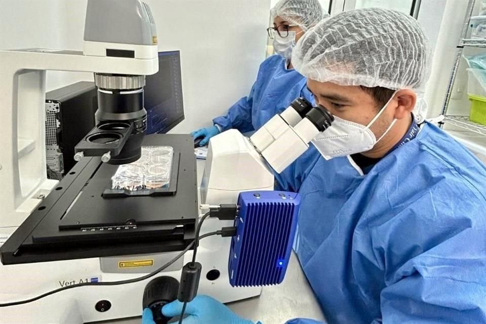 El Servicio de Hematología del Hospital Universitario no ha podido aplicar la terapia CAR-T en pacientes graves porque la Cofepris no lo ha autorizado.