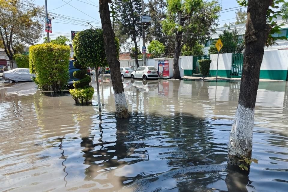 Al menos 15 domicilios fueron afectados por la acumulación del agua potable que se desperdició.