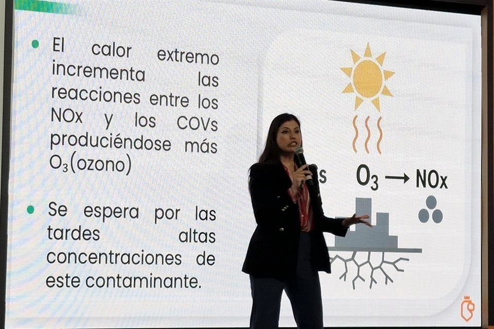 Armandina Valdez, directa de la Agencia de la Calidad del Aire.