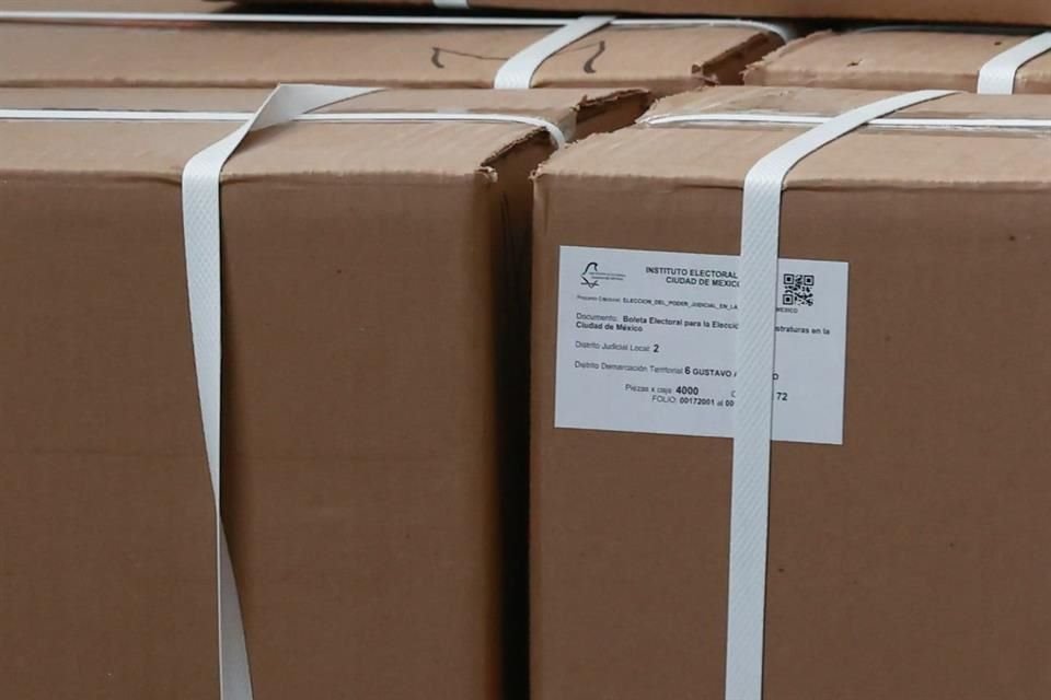 La consejera presidenta del IECM, Patricia Avendaño, aseguró que las medidas de seguridad con las que cuentan las papeletas hacen que sean infalsificables.