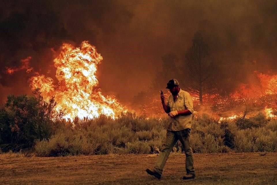 nos 620 kilómetros cuadrados de bosque que son parte del proyecto de compensación de carbono de California se han quemado en este verano.