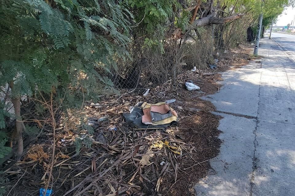La malla divisoria se encuentra en malas condiciones, y las ramas de los árboles que crecen en el predio la han ido afectando más.