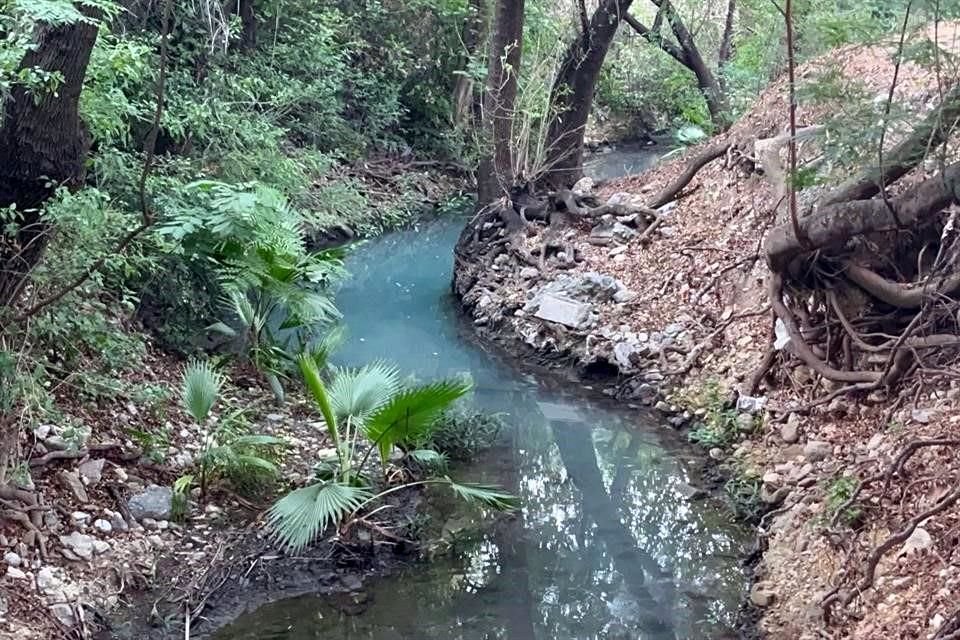 Esta semana el Municipio de San Pedro promovió una denuncia penal contra quien resulte responsable por una posible contaminación en el arroyo.