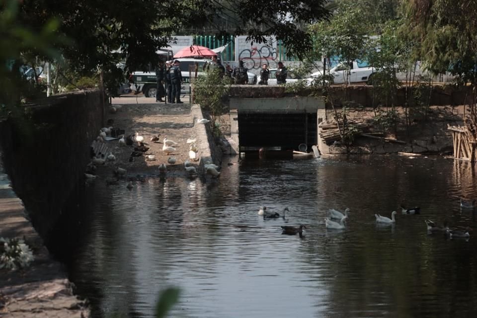 Un hombre se ahogó al caer durante la madrugada en Canal Nacional.