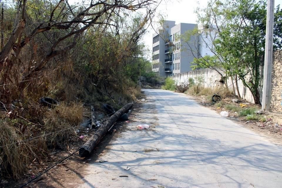 Un poste caído, exceso de maleza y telarañas de cables, demuestran el evidente abandono de la calle Cerro del Obispado.