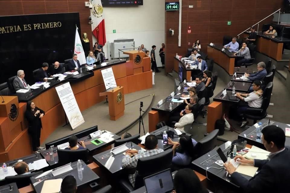 Durante el quinto conversatorio sobre el proyecto de Ley en Materia de Telecomunicaciones, Javier Corral adelantó que se distribuirán las atribuciones entre el Ejecutivo, Segob, e incluso Profeco.