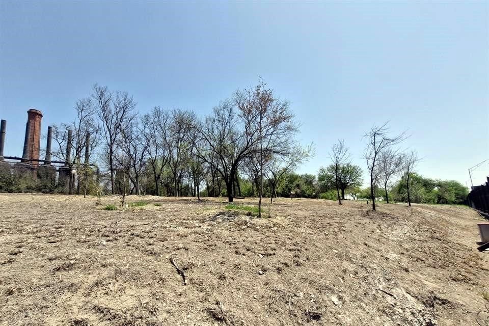 El proyecto de reforestación se ha mantenido en la opacidad, al realizarse en su mayoría por la asociación civil Reforestación Extrema.