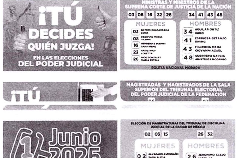 Fotografía incluida en una de las denuncias que recibió el INE.
