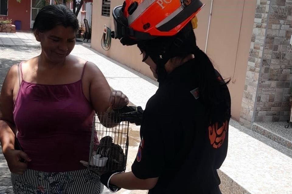 El ave fue localizada en la calle Privada El Refugio, en la Comunidad El Ranchito.
