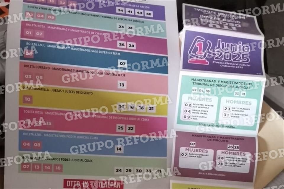 A días, salieron a las calles bajo la identidad del Colectivo 1 de Junio, con la intención de promover el voto, pero también de afiliar a personas que pudieran simpatizar con el partido oficialista.  