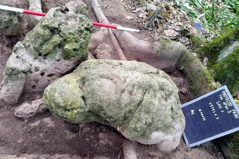 El hallazgo fue realizado a unos 21 kilómetros de la zona arqueológica Uaxactún, en Guatemala.