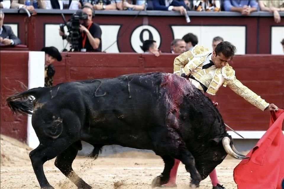 Joselito Adame llegó a 600 corridas en su carrera.