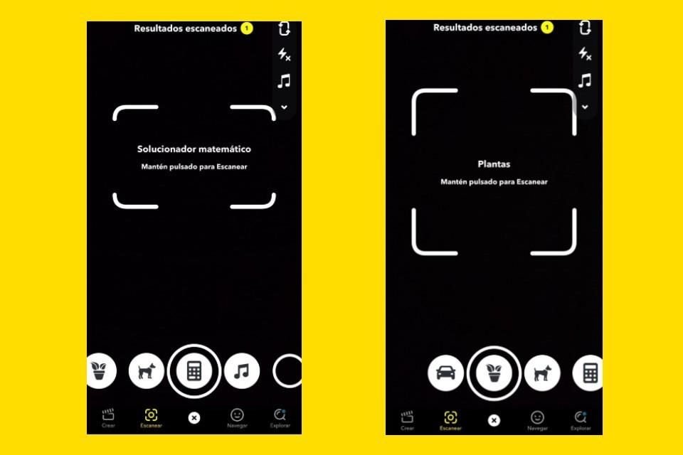 Con las nuevas funciones, los usuarios podrán escanear diferentes objetos para identificarlos con la cámara.