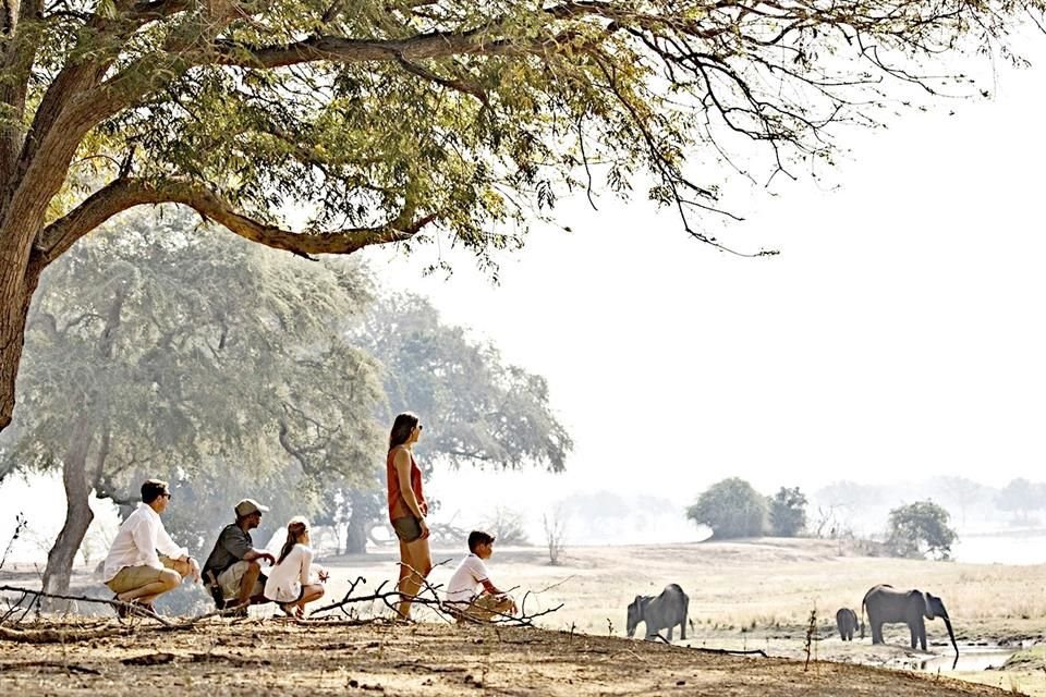 Una gran opción puede ser Wilderness Chikwenya, un exclusivo campamento que ubicado en la confluencia de los ríos Sapi y Zambeze, combina la tranquilidad con la sublime naturaleza.