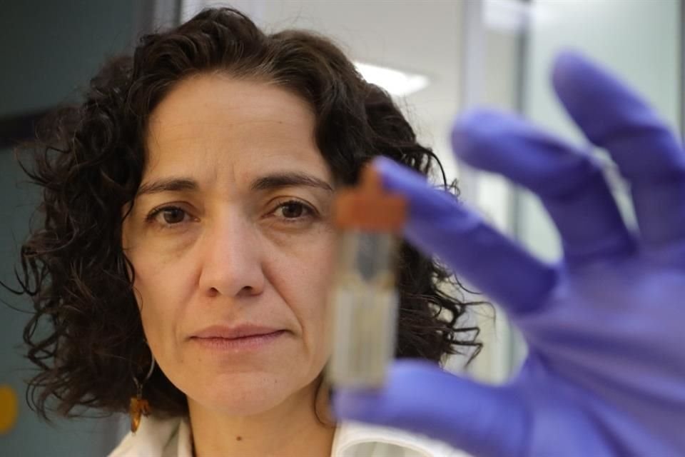 La inmunóloga Paula Licona Limón es la responsable científica de la Unidad.