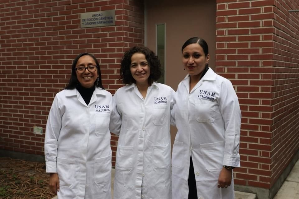 Licona Limón flanqueda de sus dos compañeras: Ariadna Aparicio Juárez y Guadalupe García Patiño. Ellas tres conforman el equipo.