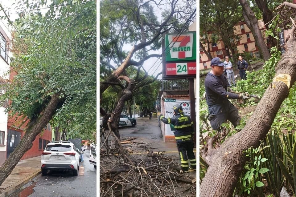 Como toda la semana, el Cuerpo de Bomberos tuvo ayer un día ajetreado por caídas de árboles completas o ramas grandes.