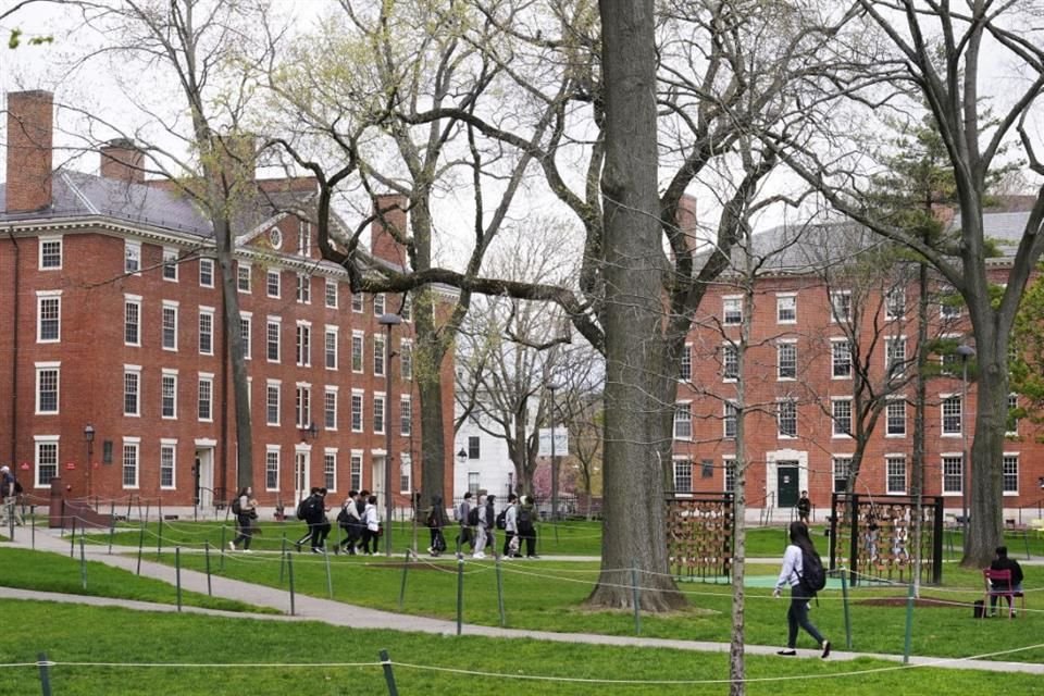 Estudiantes caminan a través del Havard Yard, el 27 de abril del 2022.