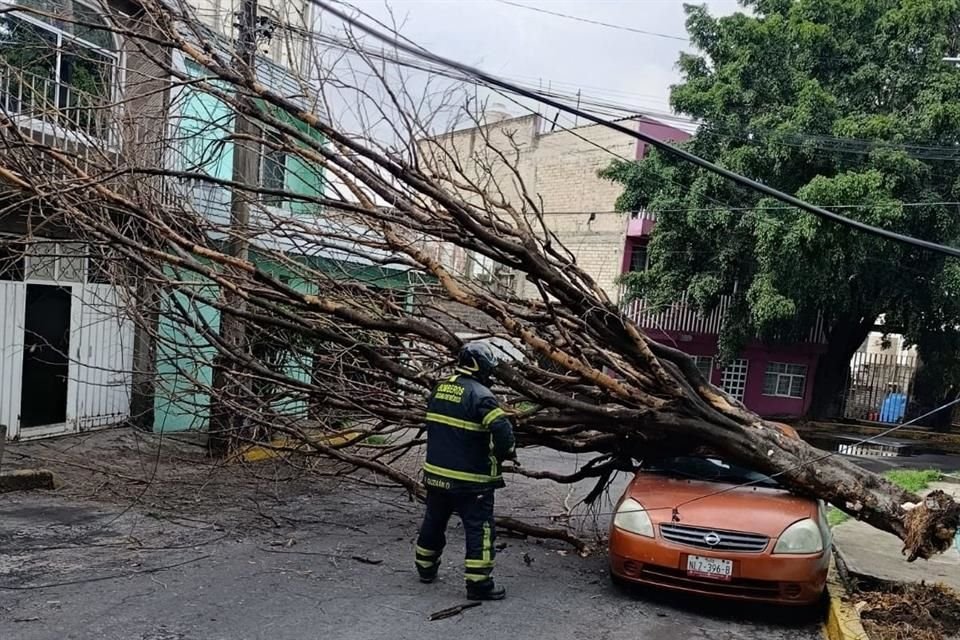 Bomberos retirar un árbol que cayó sobre un automóvil, en Calzada Ermita Iztapalapa, Colonia Santa María Aztahuacán, en Iztapalapa.