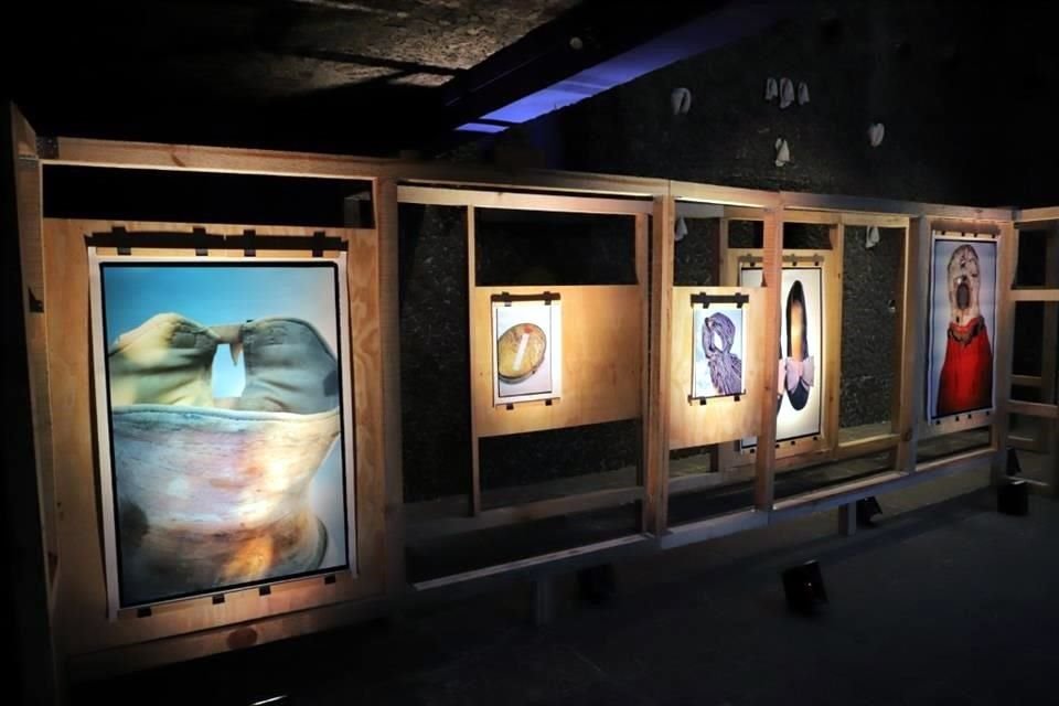 El Museo Frida Kahlo exhibe algunas de las fotografías que Miyako Ishiuchi hizo de los objetos personales de la pintora mexicana.