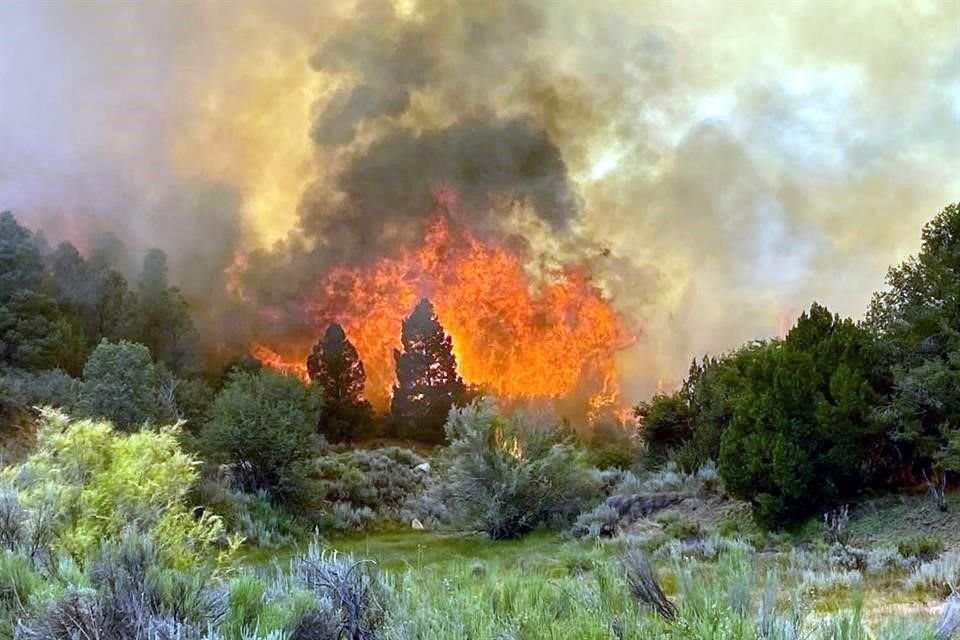 Autoridades llamaron a la población a mantenerse informada, tomar medidas de prevención, tales como preparar artículos de emergencia, como agua, linternas, botiquín y documentos importantes.
