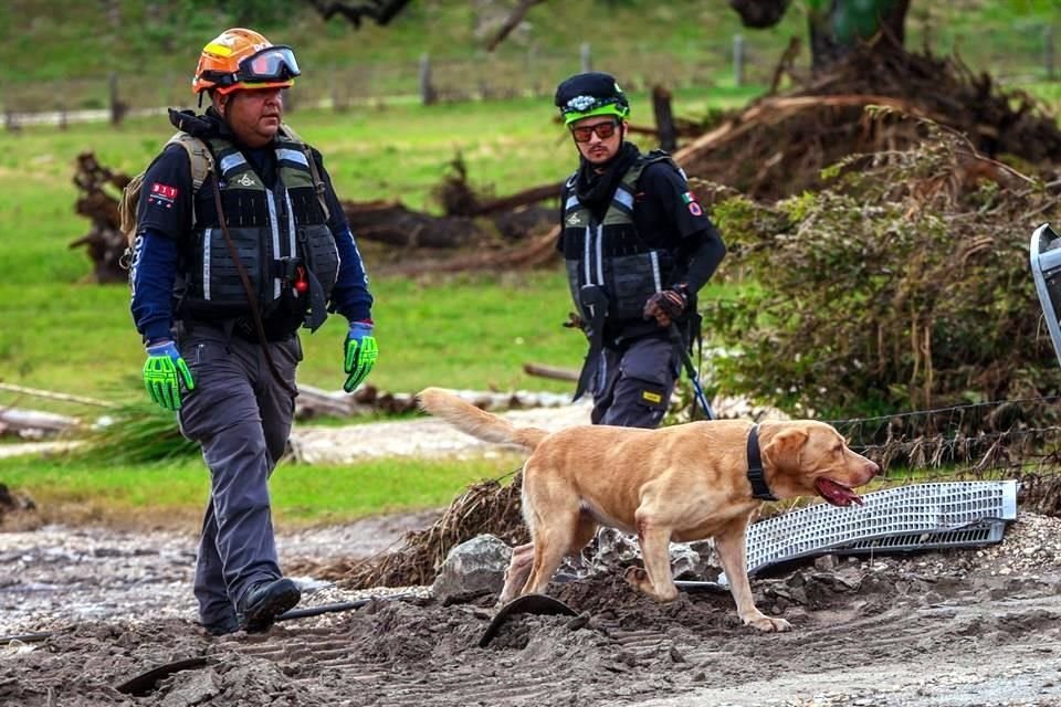El equipo, conformado por cuatro perros entrenados y 15 rescatistas especializados, fue desplegado en diversos sectores a lo largo del Río Guadalupe.