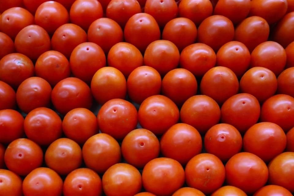 La aplicación de un arancel a importaciones de tomate mexicano recaudaría para EU alrededor de 346 mdd cada año.