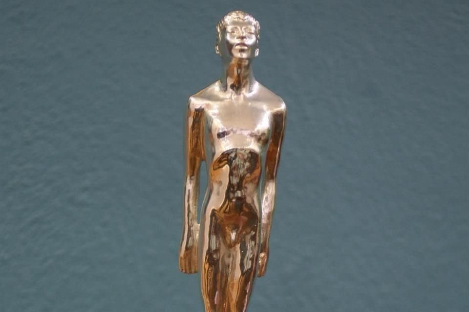 La AMACC amplió a cinco nominados por categoría en Ariel 67, buscando mayor inclusión y reconocimiento tras críticas de la comunidad.